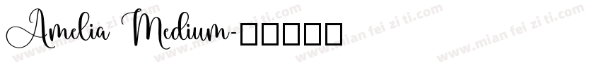 Amelia Medium字体转换
